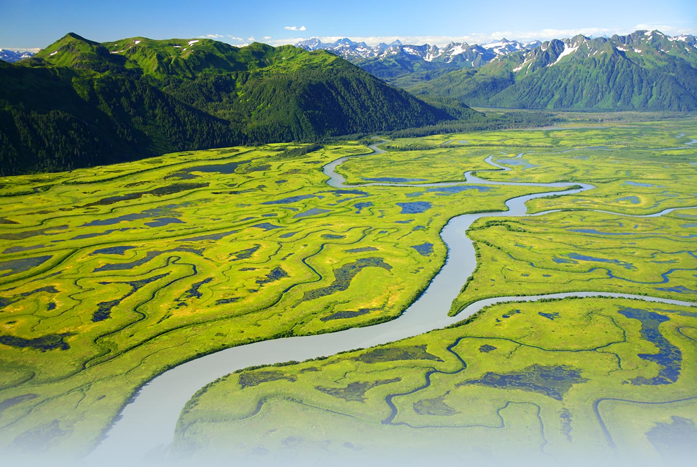 Confluence album cover image